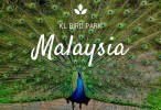 پارک پرندگان کوالالامپور (Kuala Lumpur Bird Park)