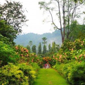 باغ گیاه شناسی پنانگ (Penang Botanic Garden)