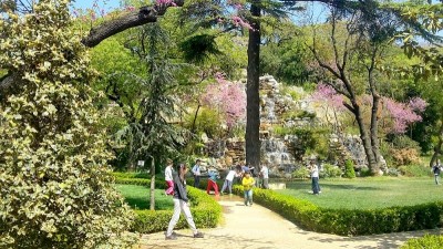 پارک فنرباغچه استانبول