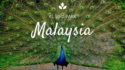 پارک پرندگان کوالالامپور (Kuala Lumpur Bird Park)