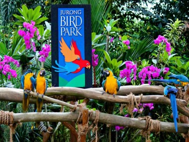 باغ پرندگان جورونگ (Jurong) سنگاپور